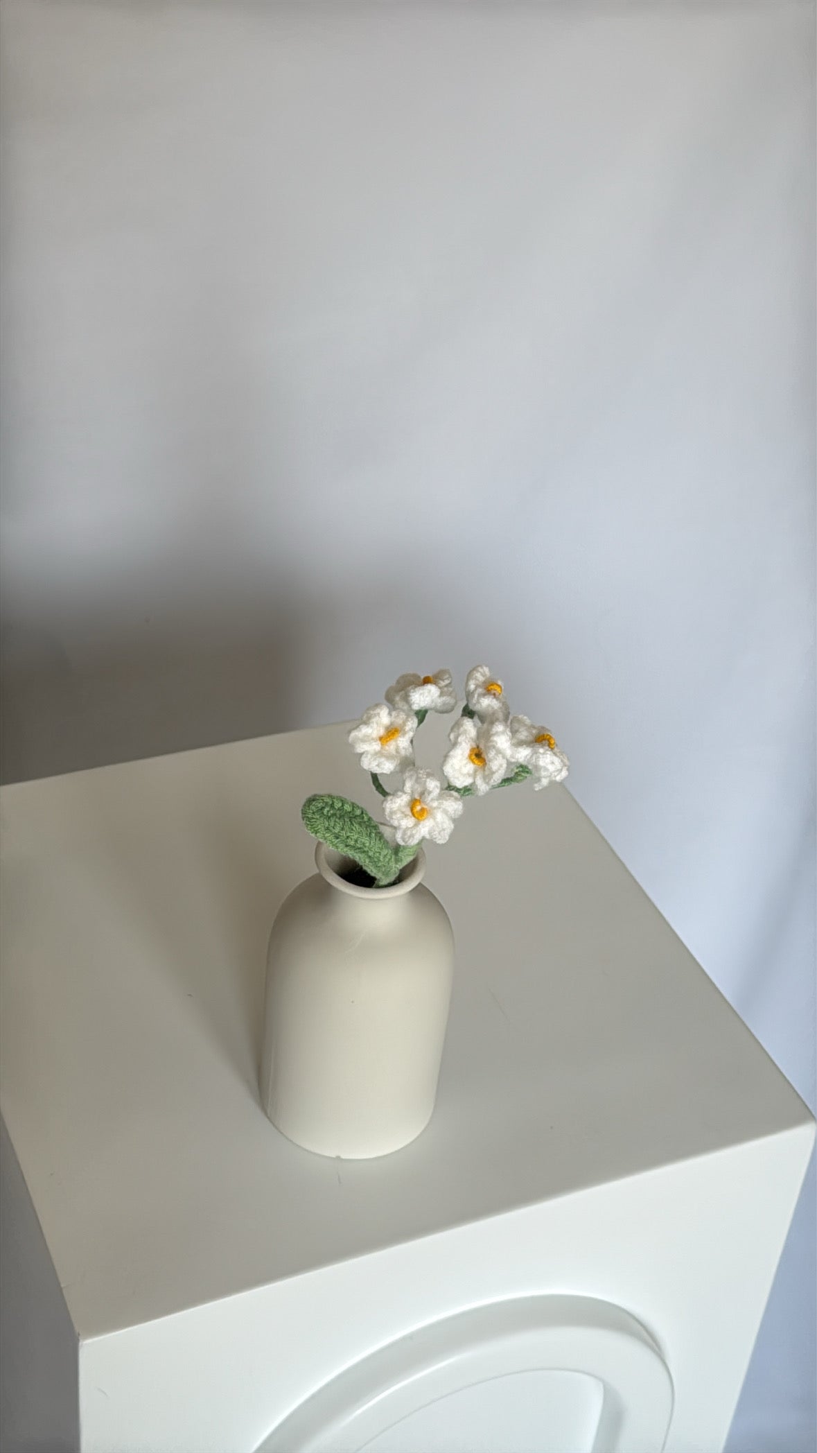 white forget-me-not flower