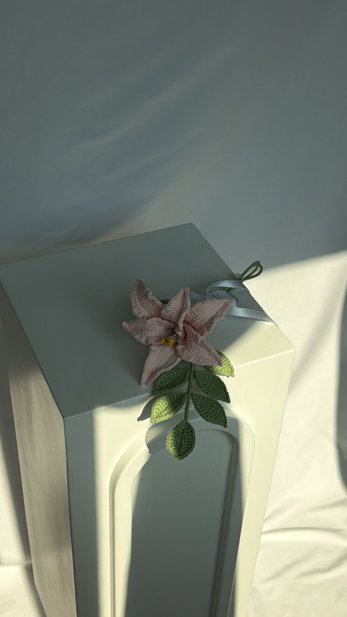blush bloom ♡