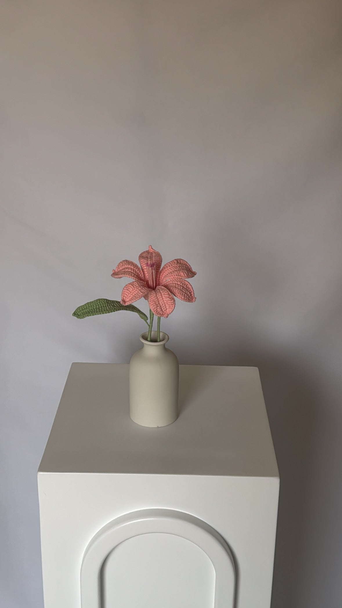 pink celeste flower