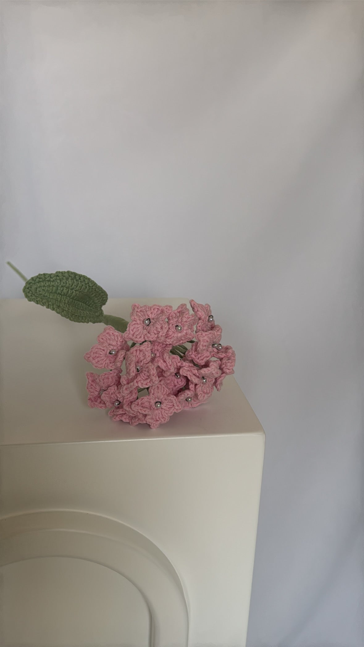 pink pearly hydrangeas