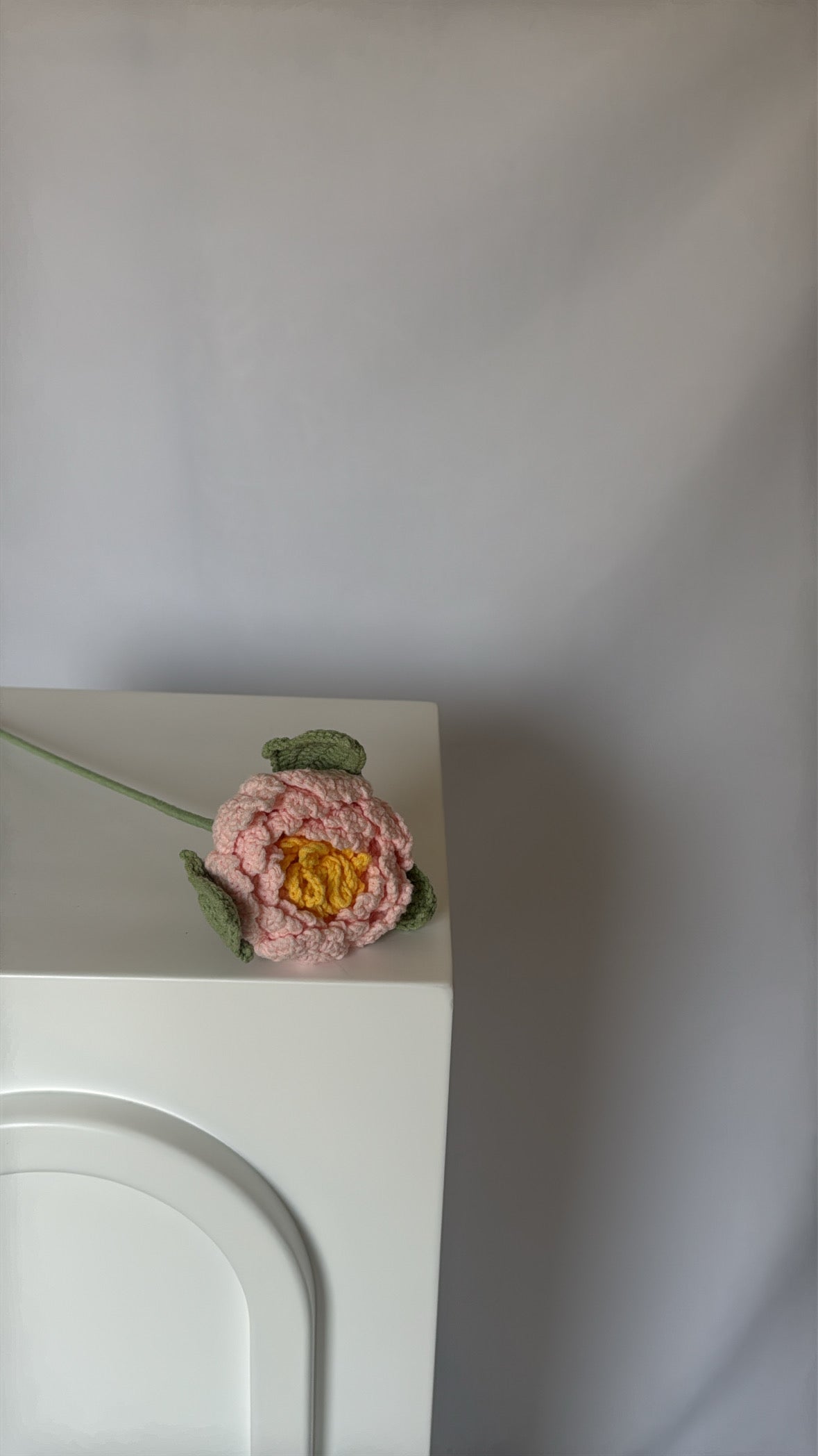 baby pink peony