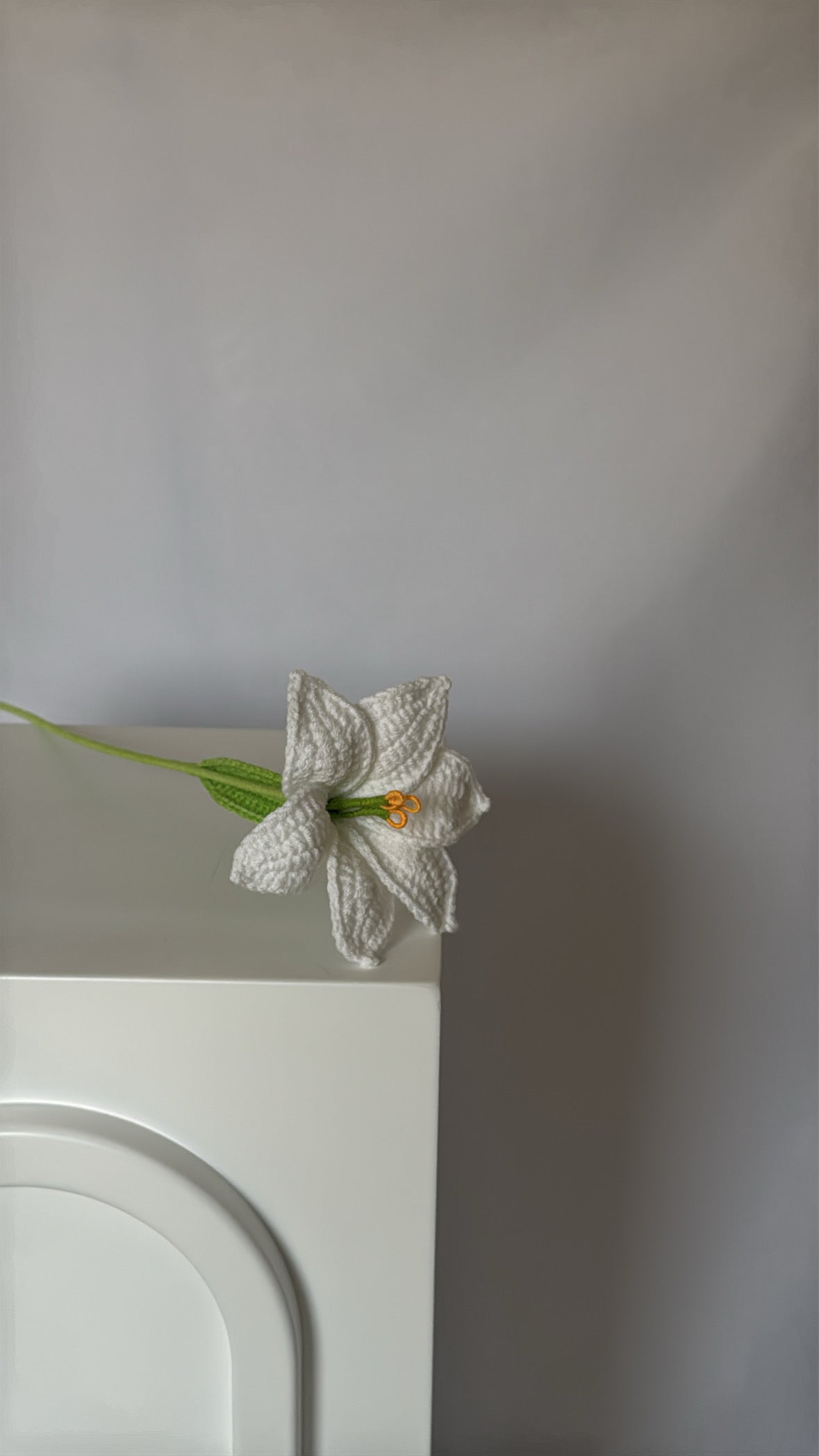 white lily