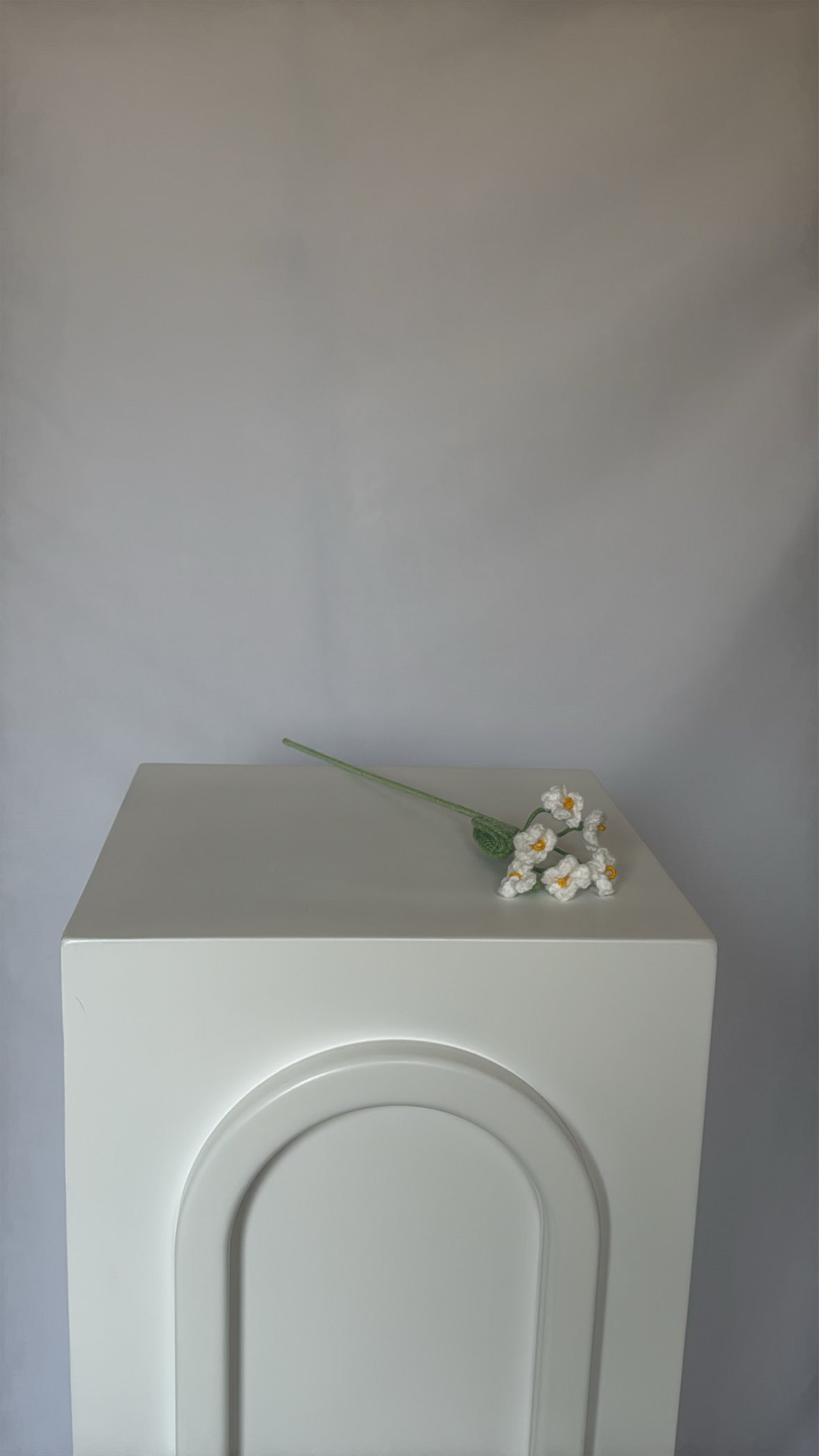 white forget-me-not flower