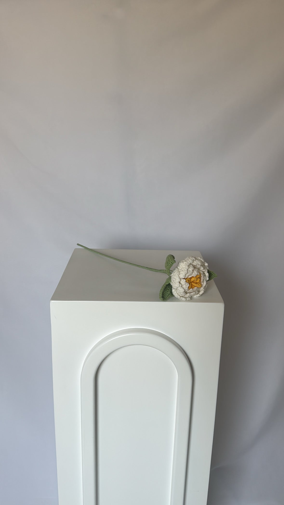 white peony