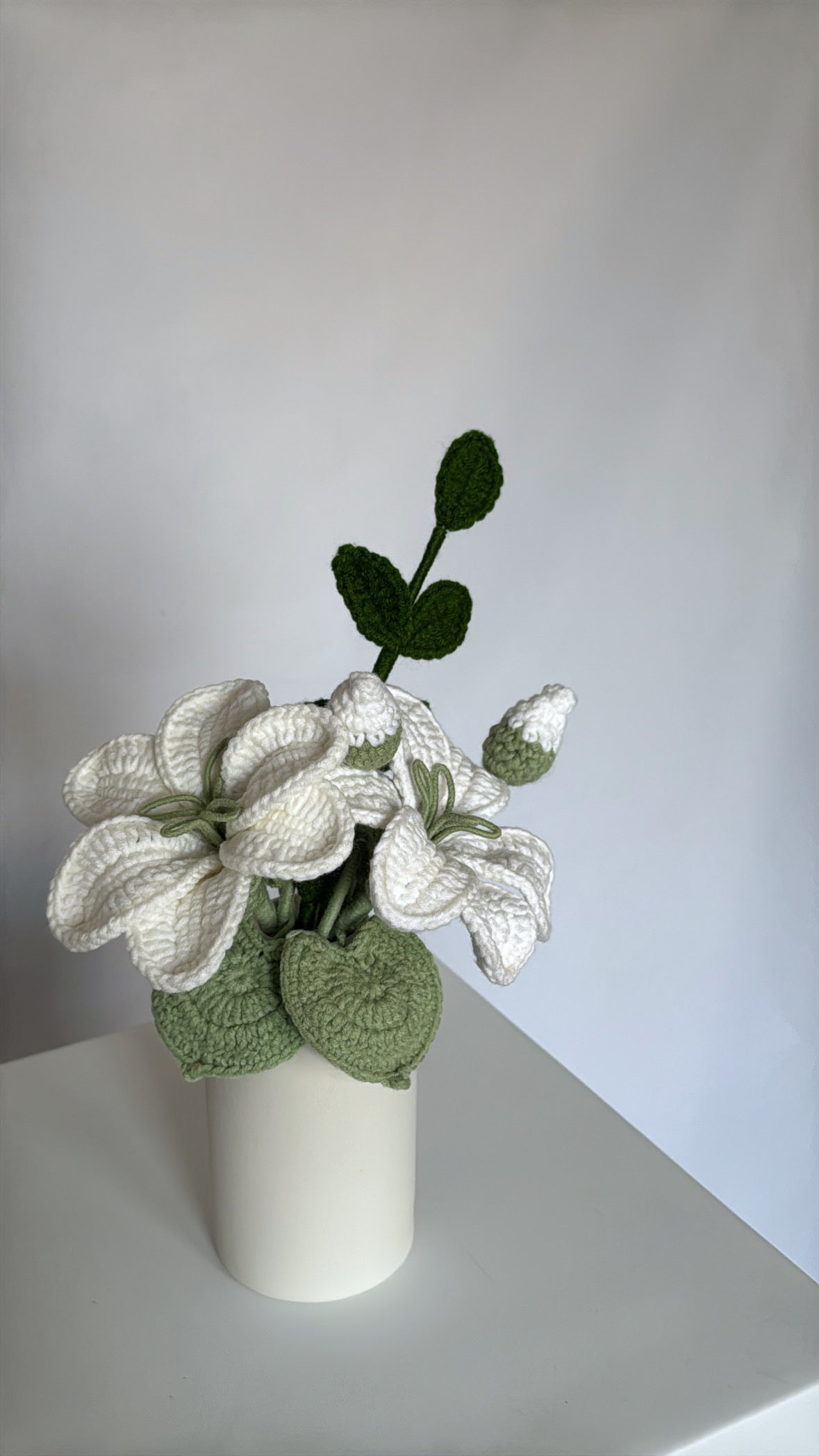 Anora vase ♡