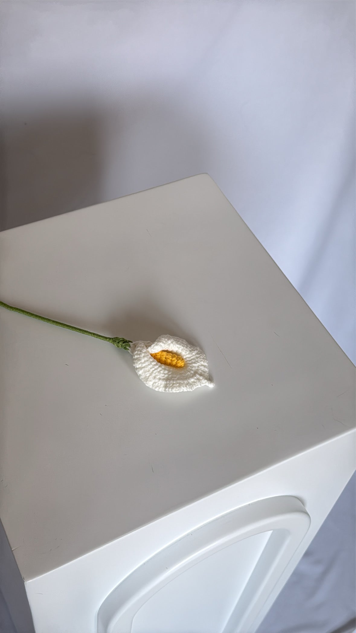 calla lily