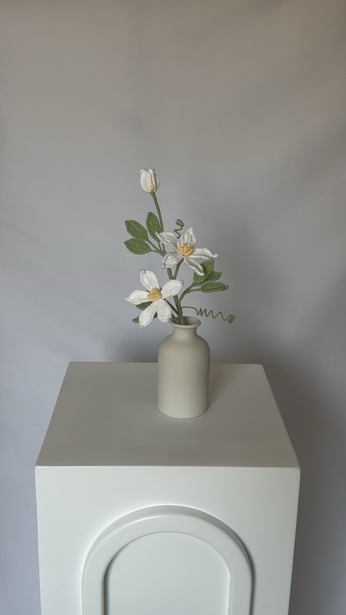 jasmine flower