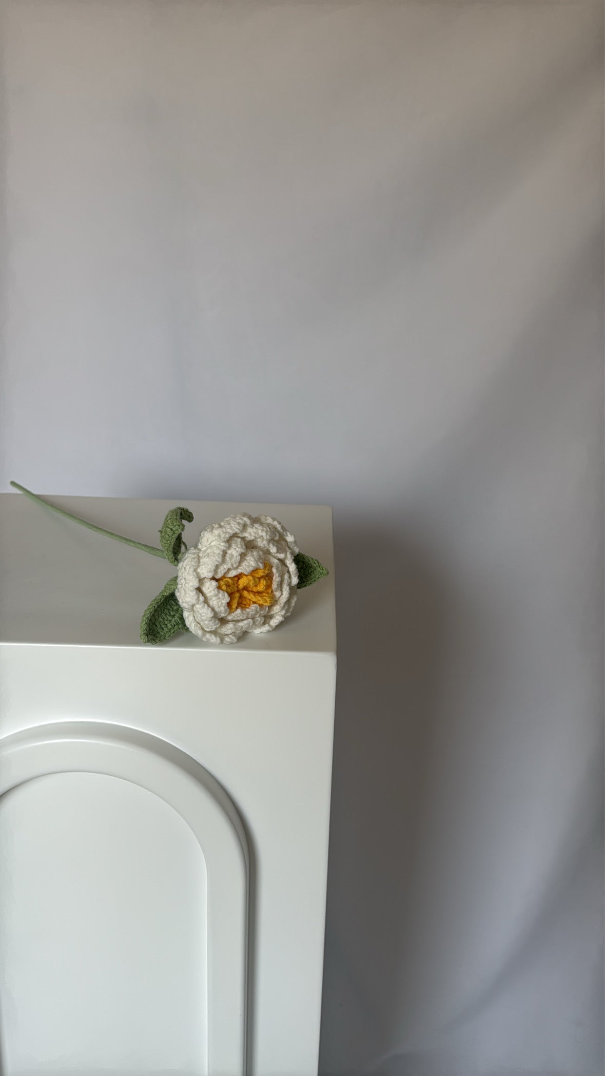 white peony