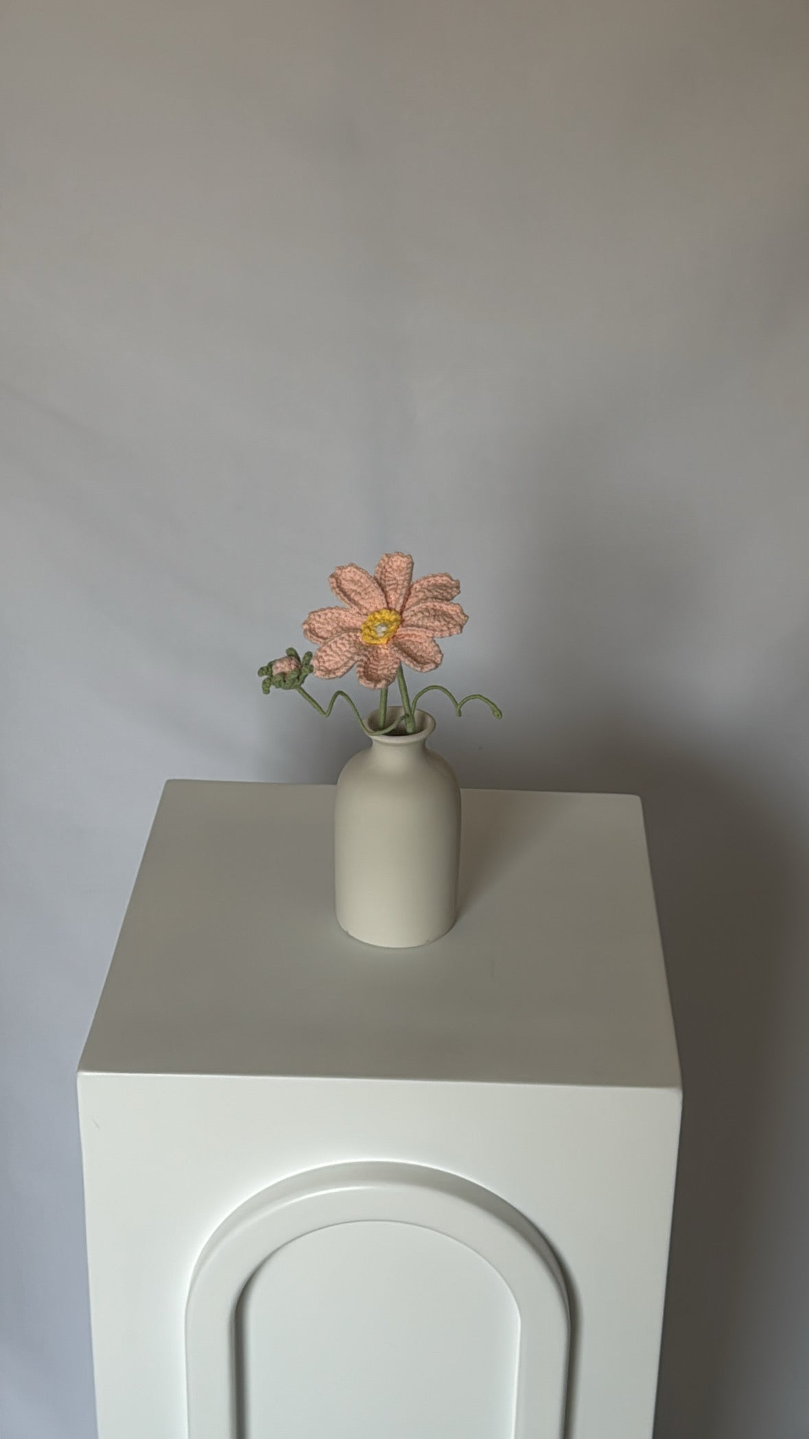 pink daisy flower