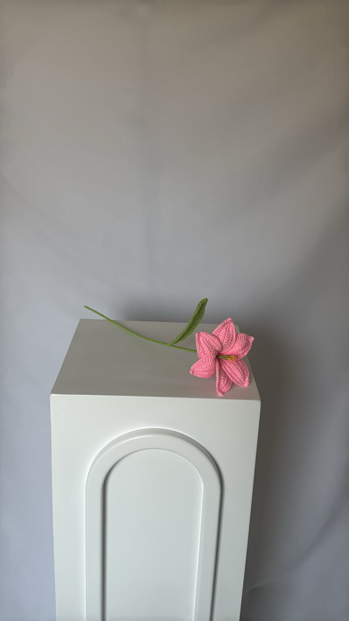 pink lily