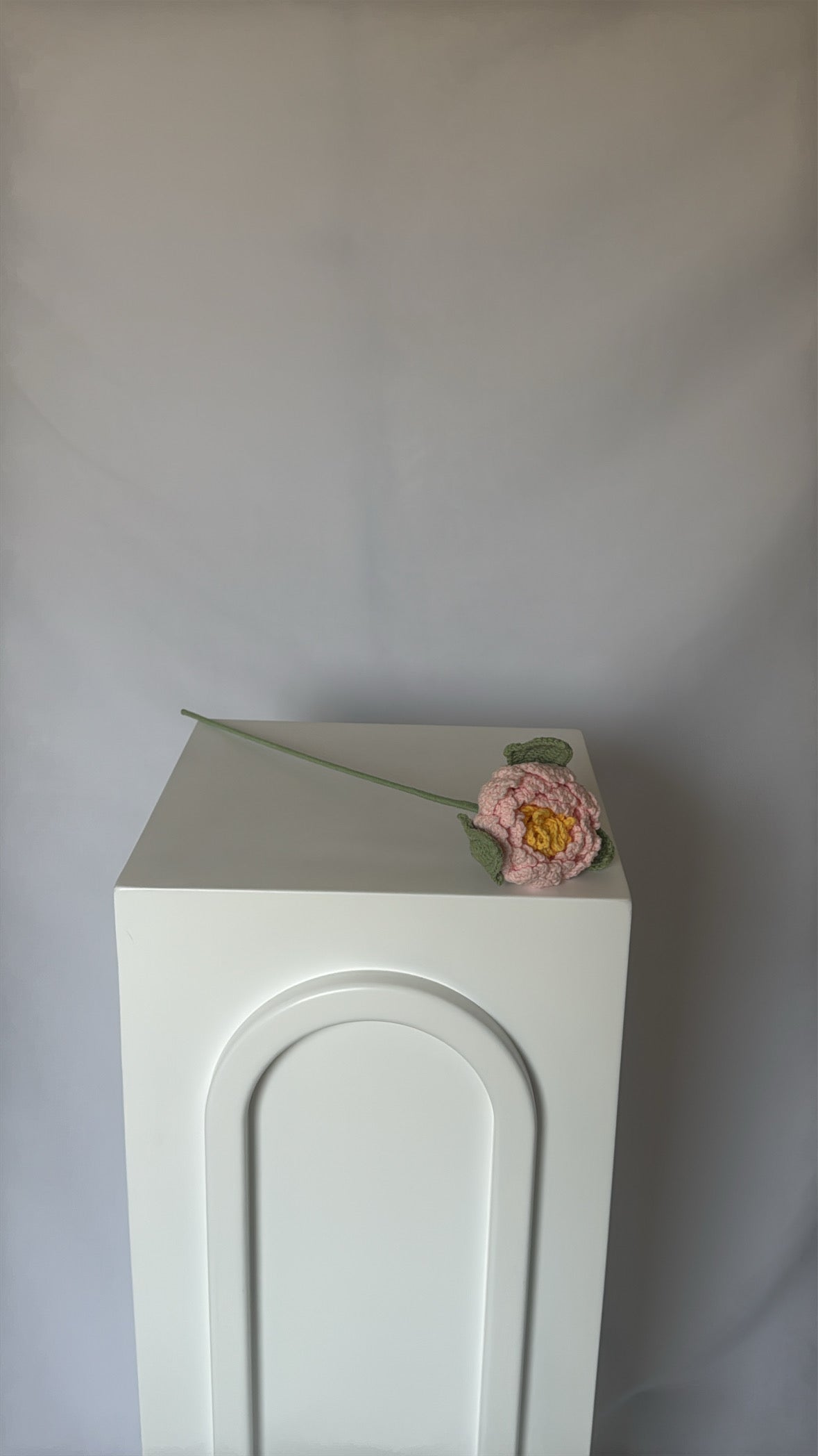 baby pink peony