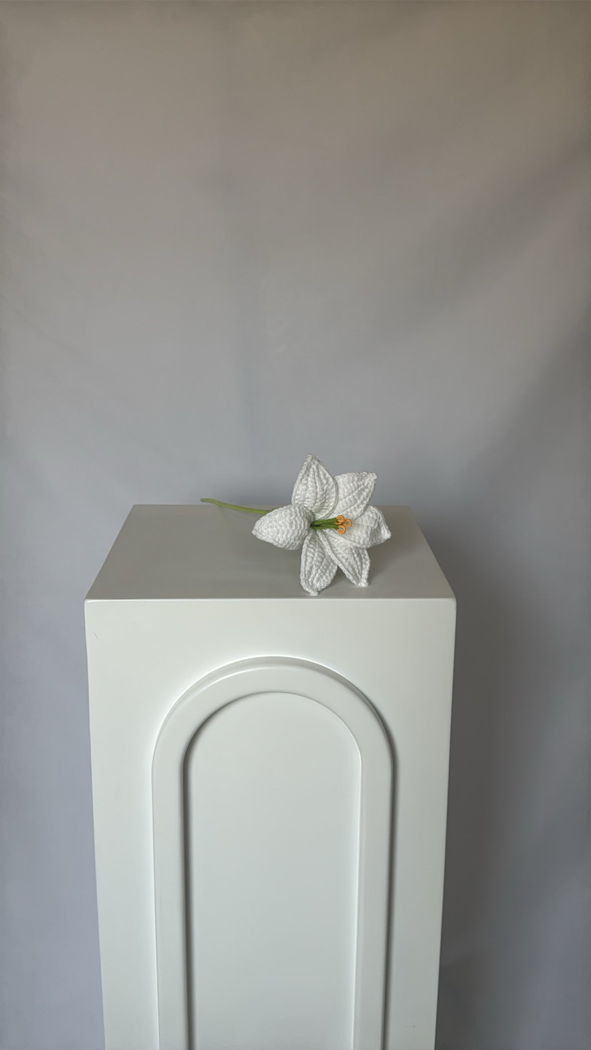 white lily