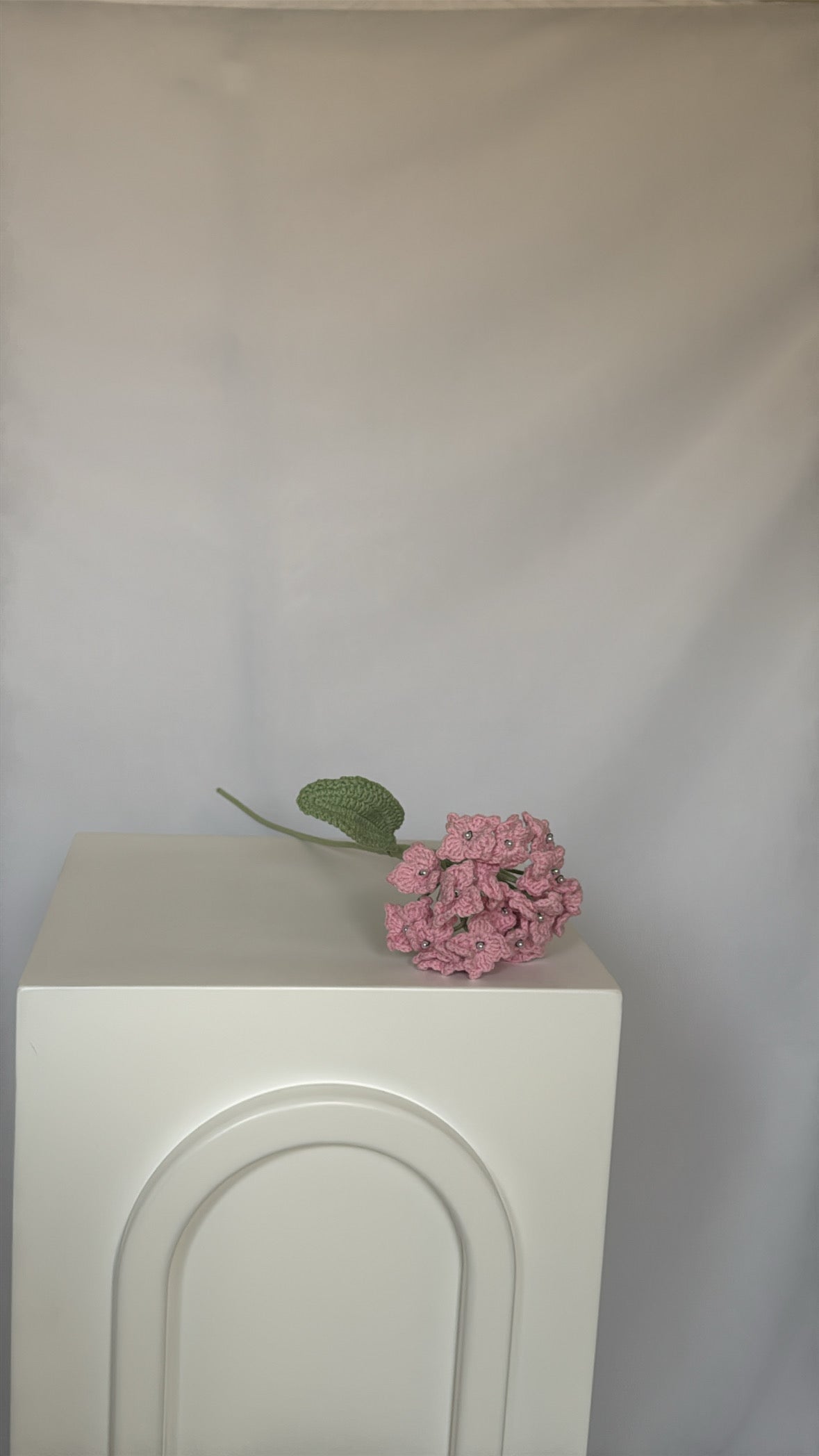 pink pearly hydrangeas