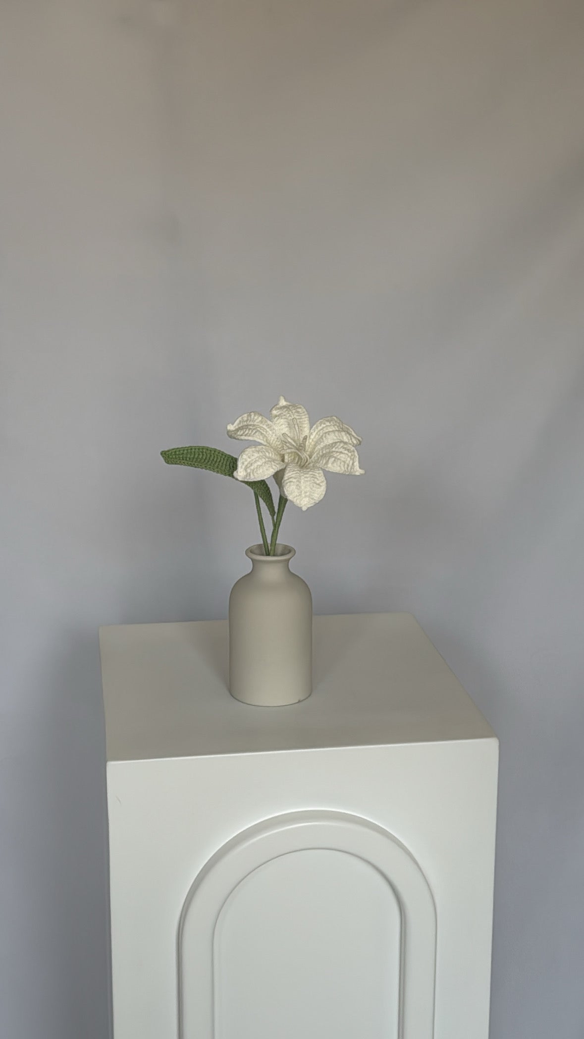 white celeste flower