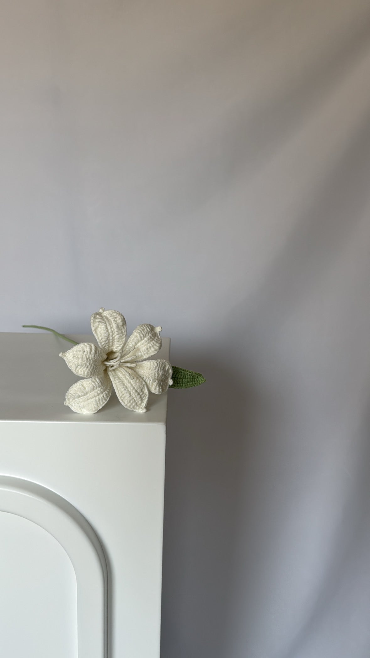 white celeste flower