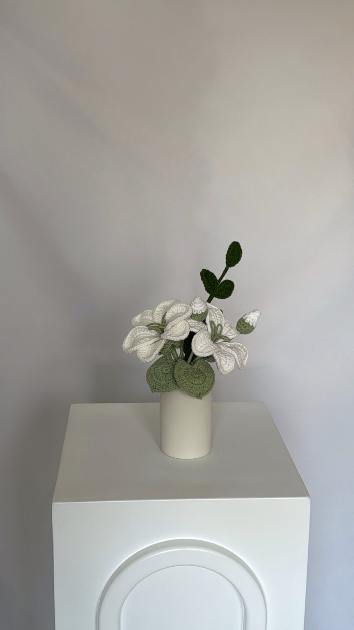 Anora vase ♡