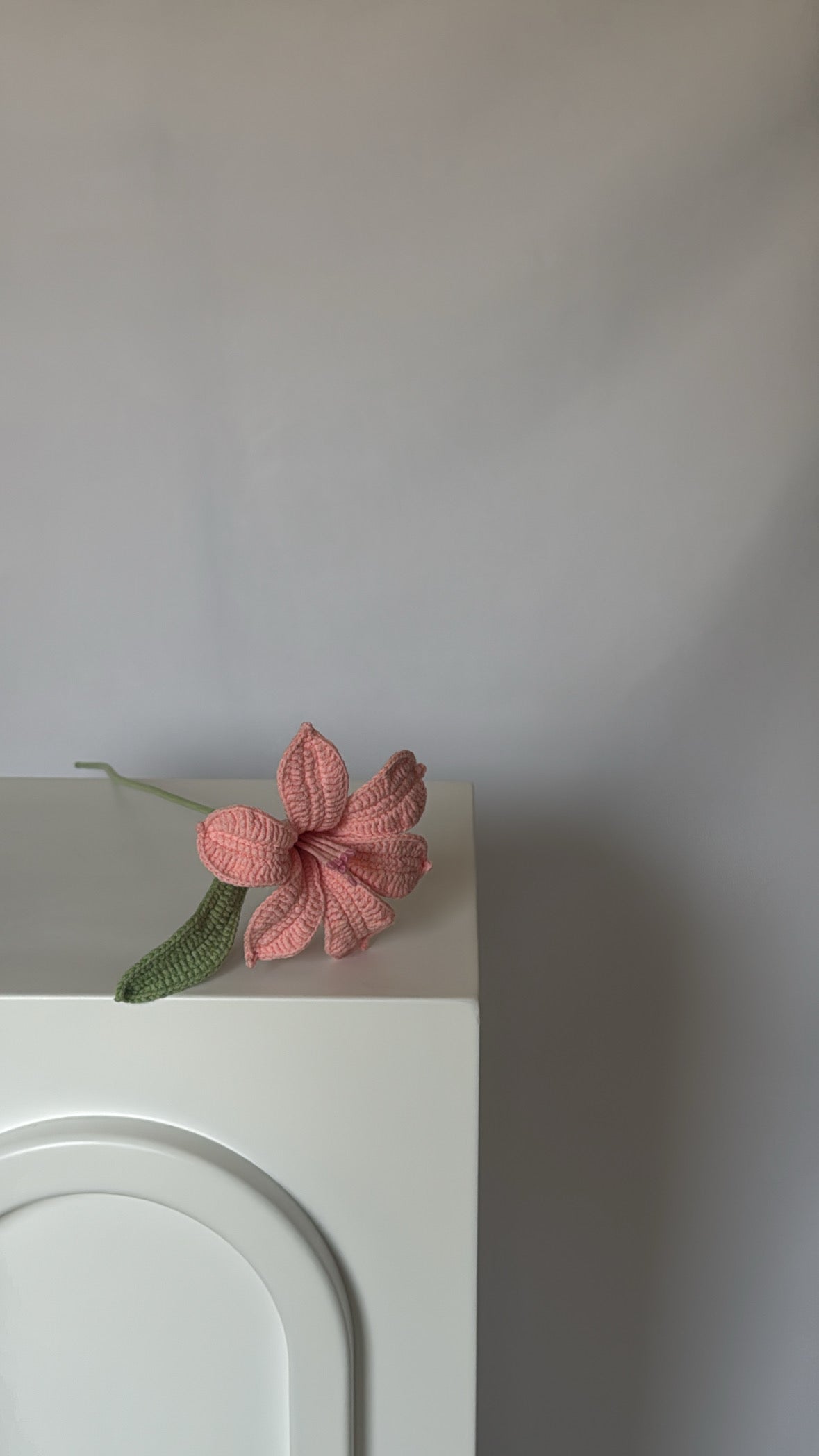 pink celeste flower