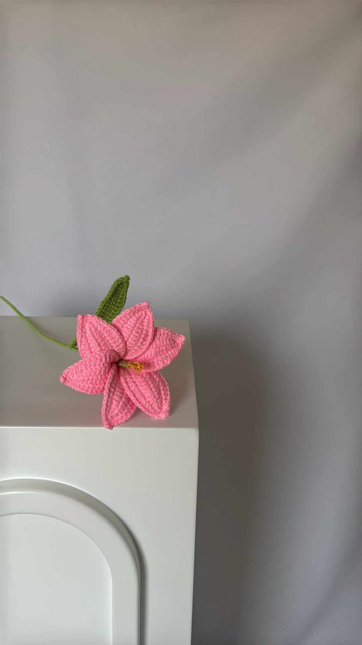 pink lily