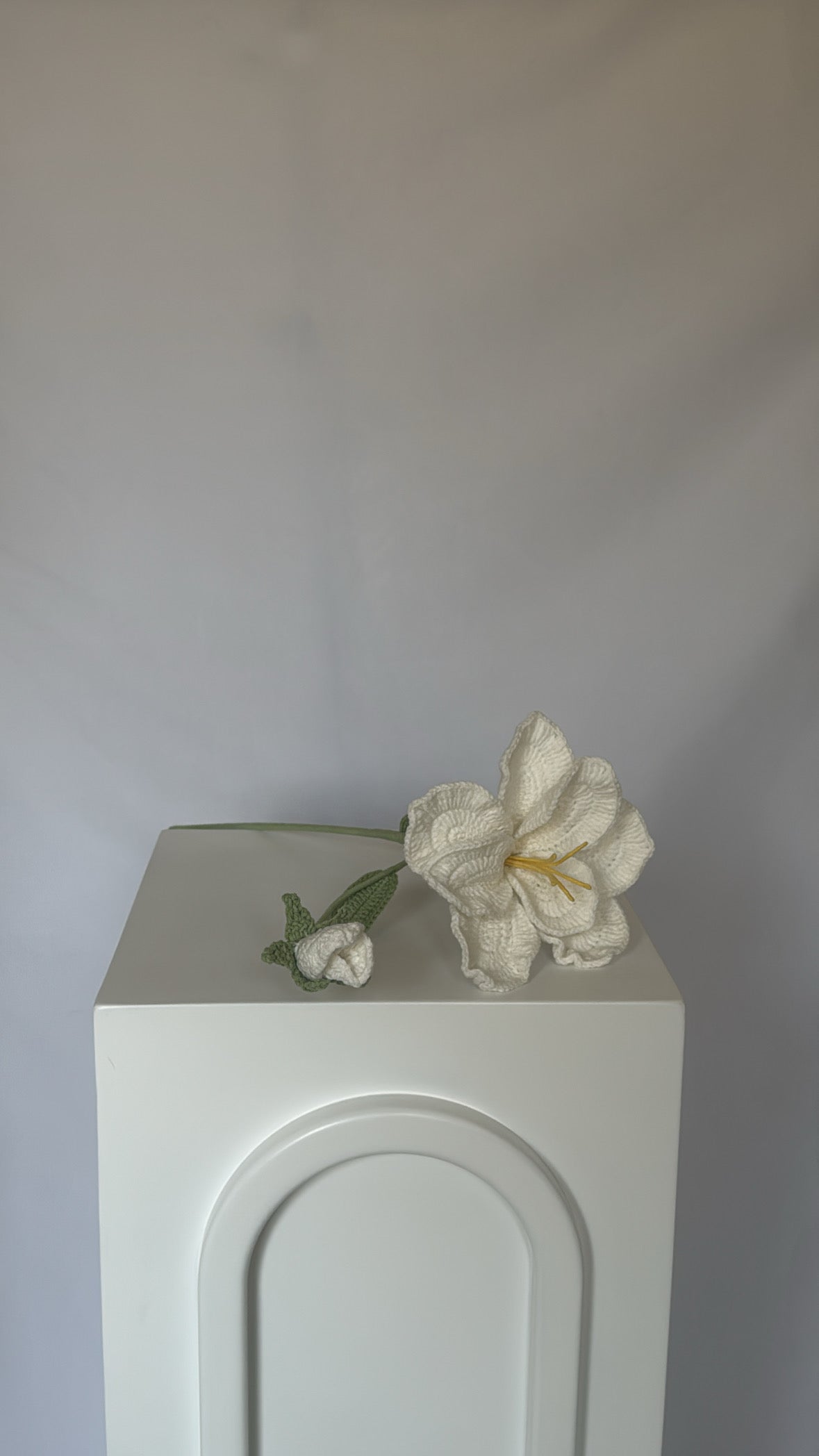 serene flower