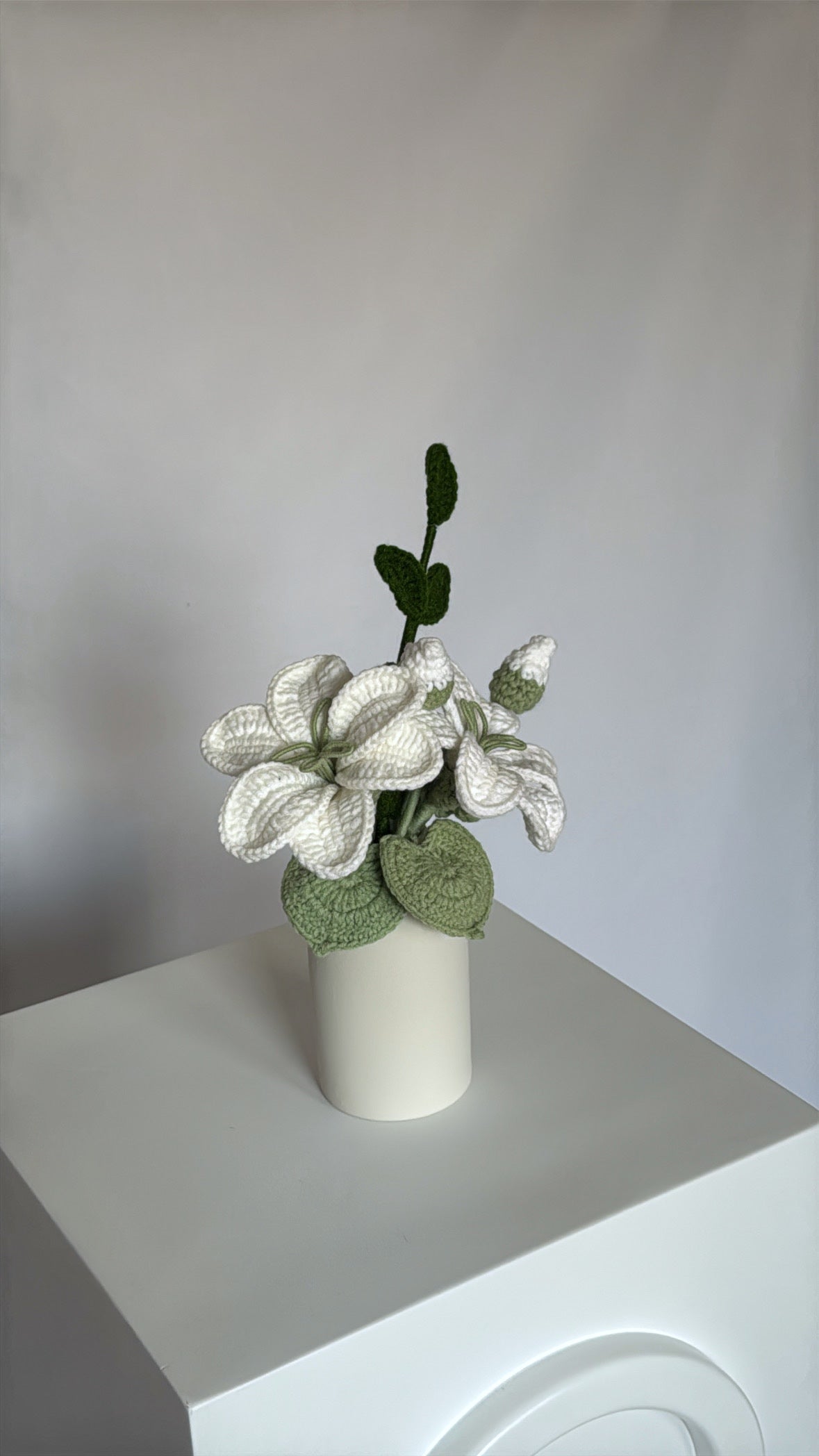 Anora vase ♡