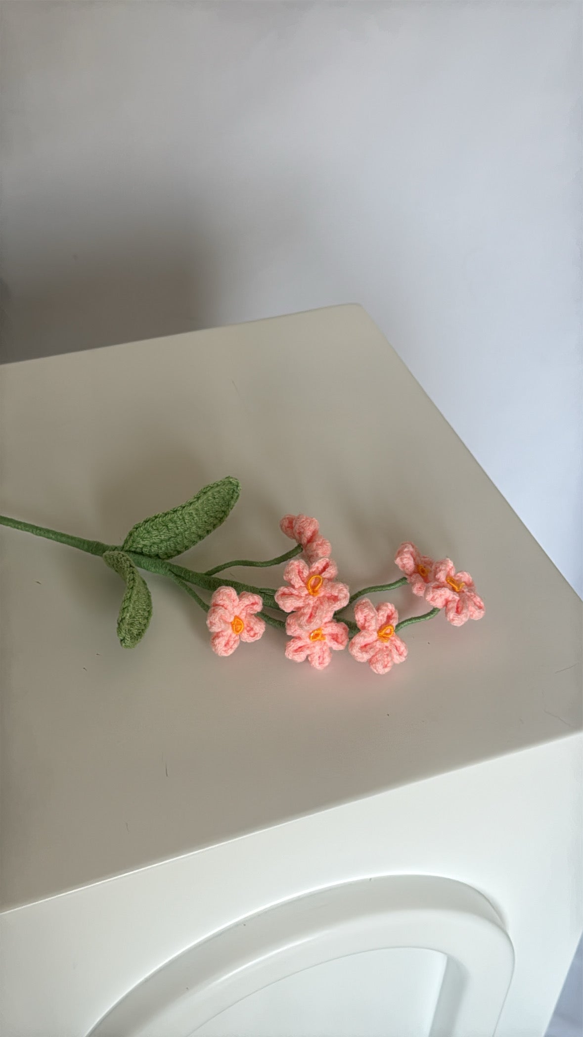 pink forget-me-not flowers