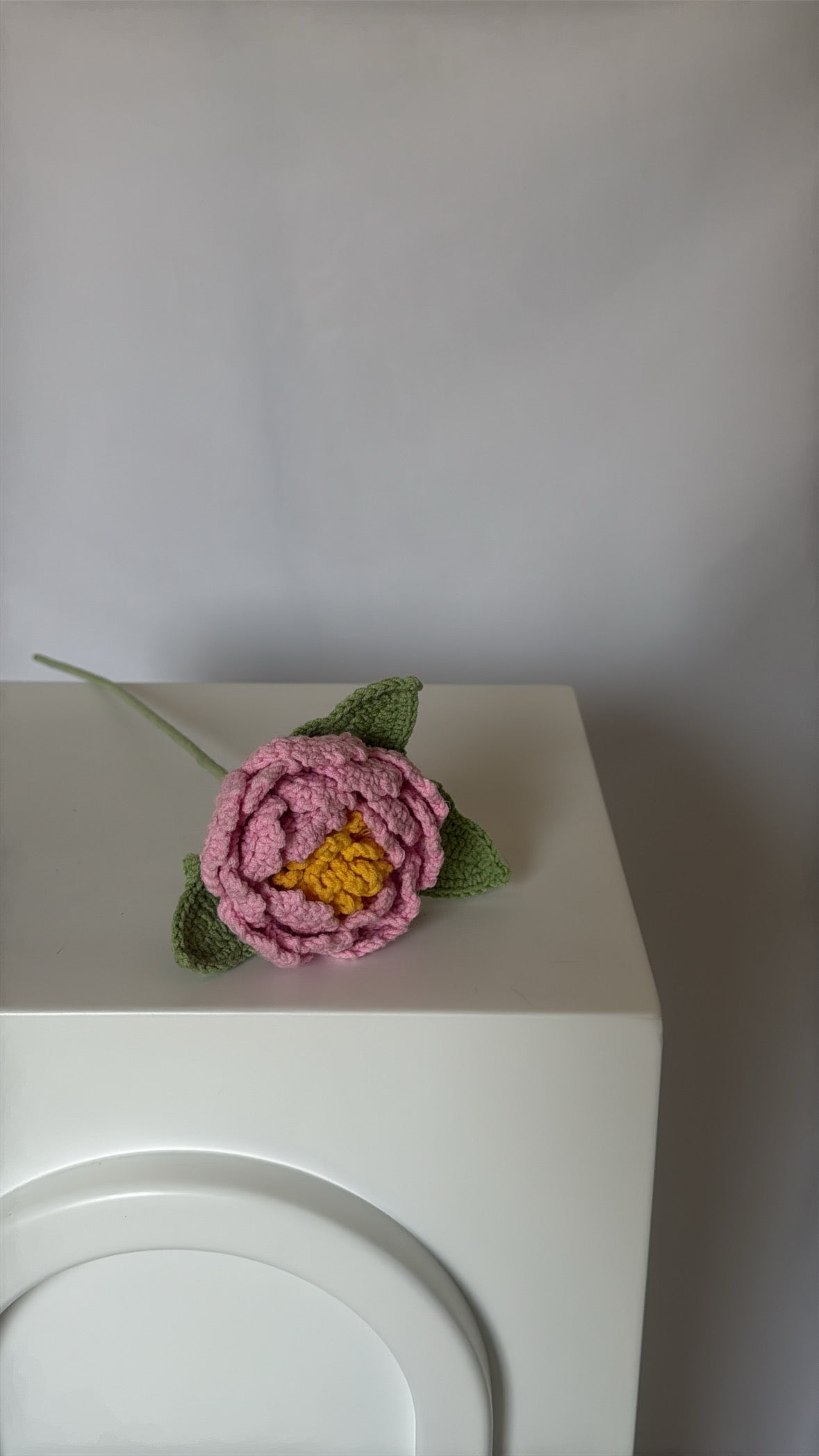rosy pink peony