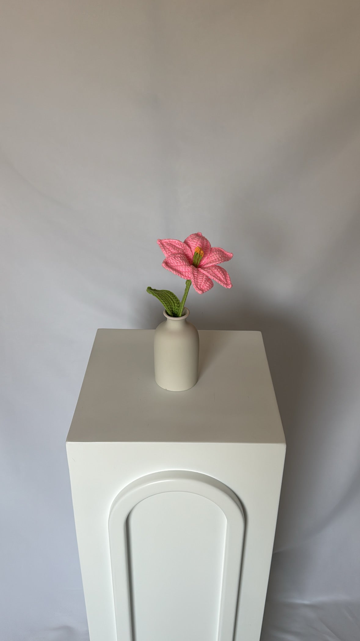 pink lily