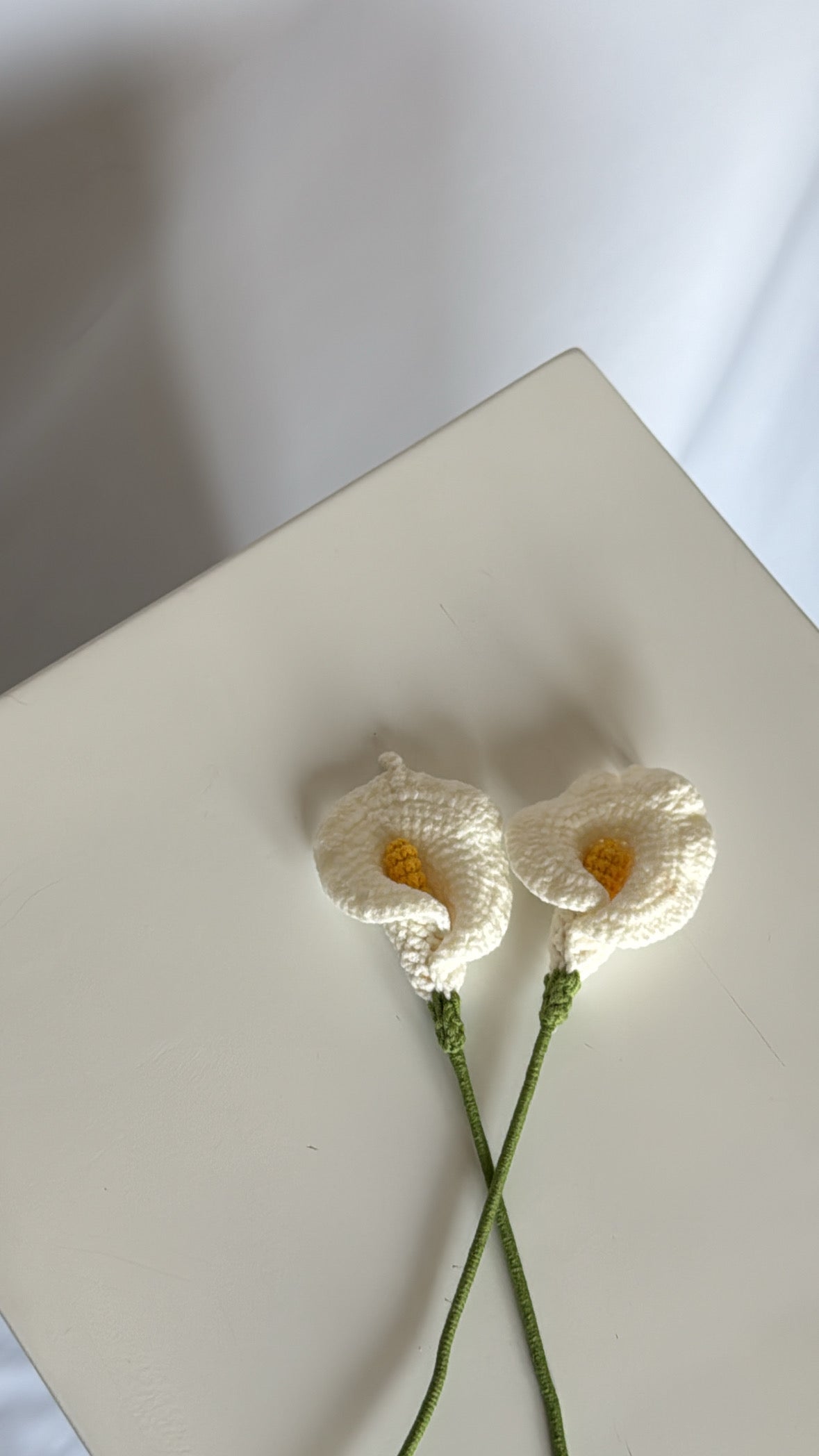 calla lily