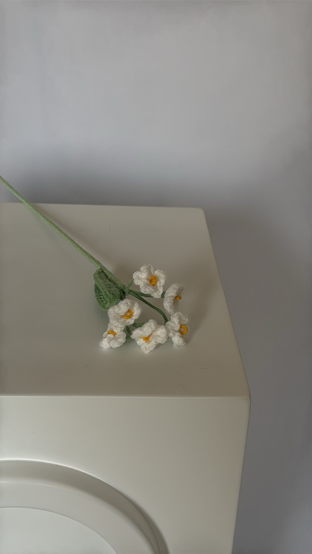 white forget-me-not flower