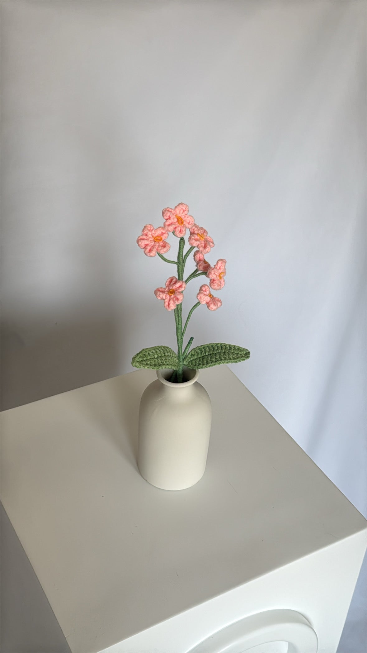 pink forget-me-not flowers