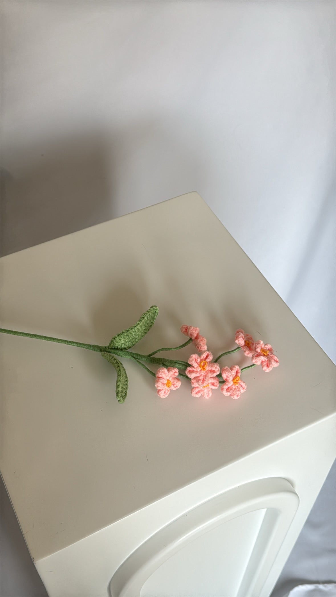 pink forget-me-not flowers