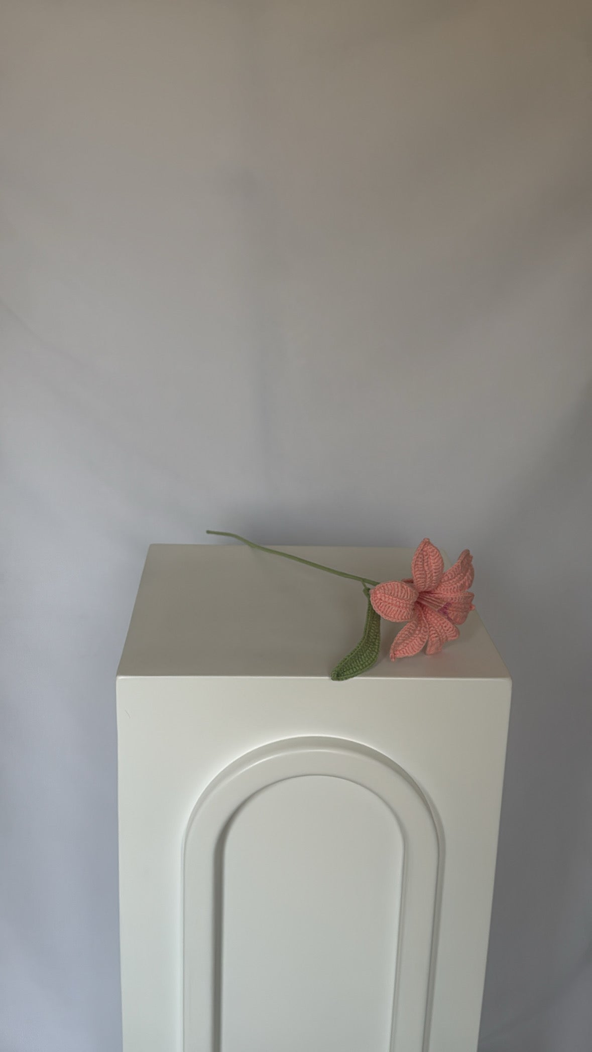 pink celeste flower