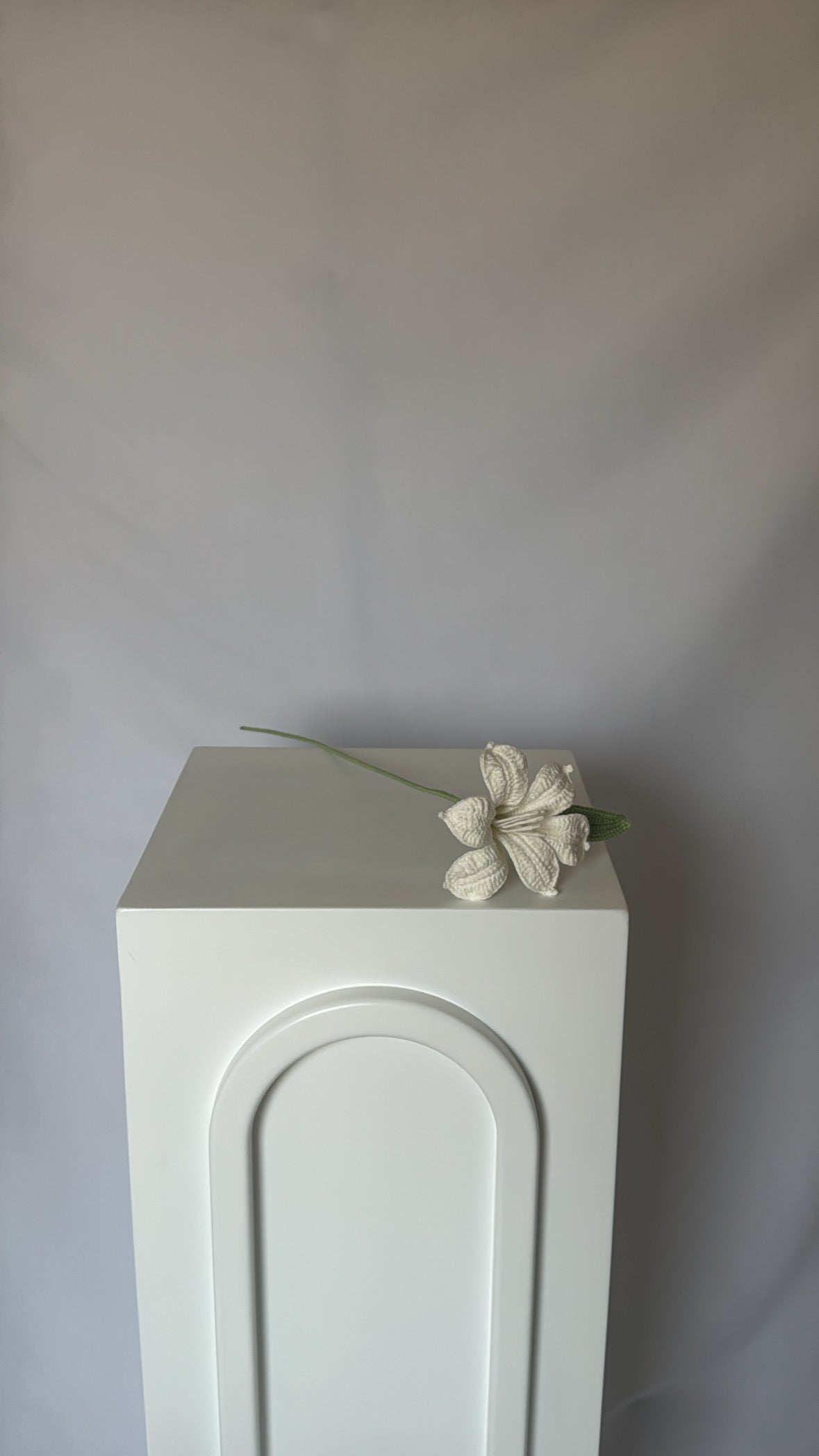 white celeste flower
