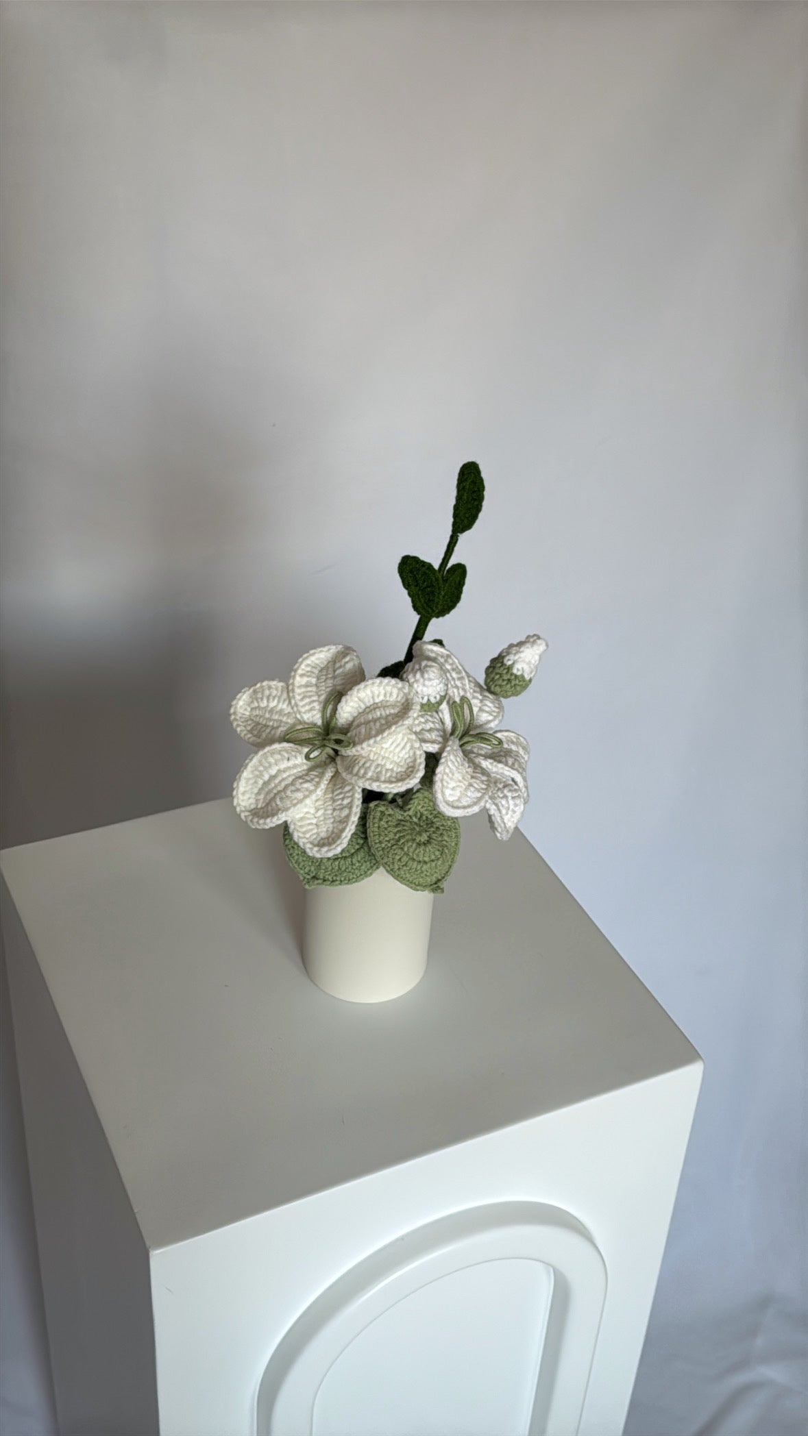 Anora vase ♡